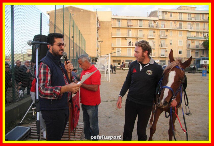 161106 equestre 104_tn.jpg